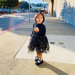 Meet your Posher, Hongry